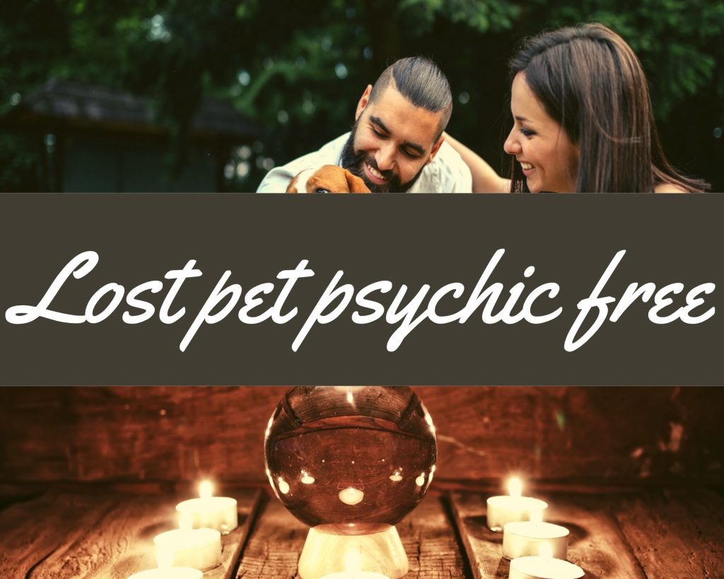 lost pet psychic free