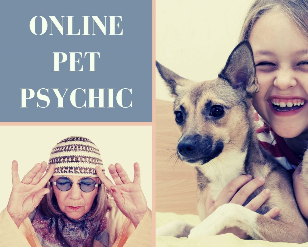 online pet psychic