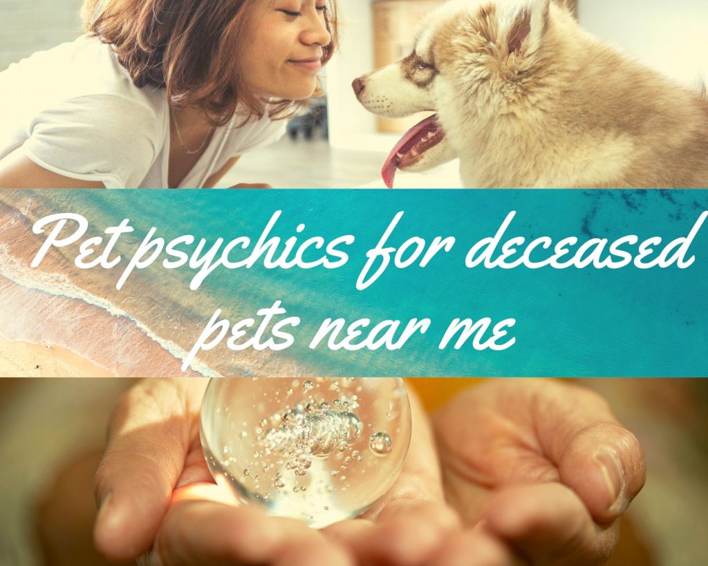 pet psychics for deceased pets near me