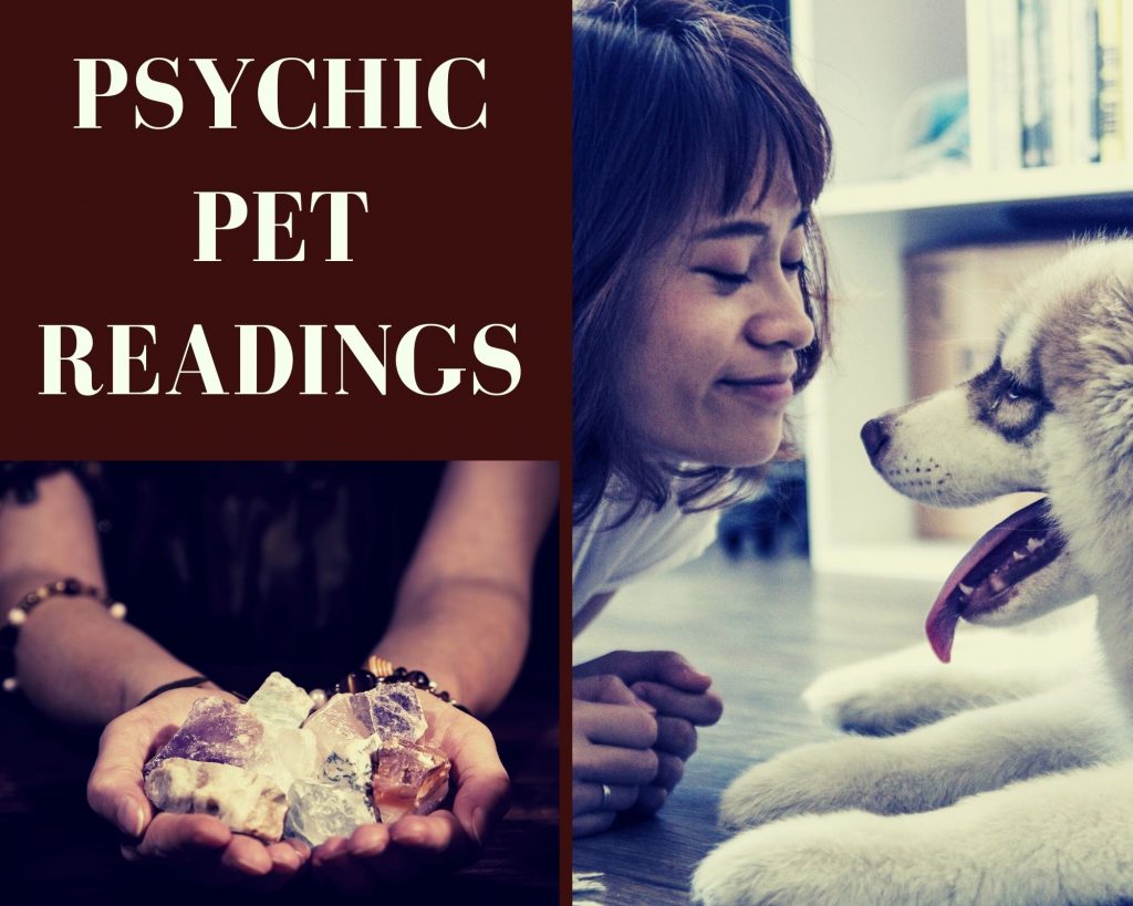 psychic pet readings