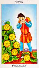 Seven Of Pentacles Card