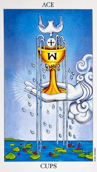 Ace Of Cups Card
