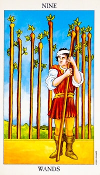 Nine Of Wands Card