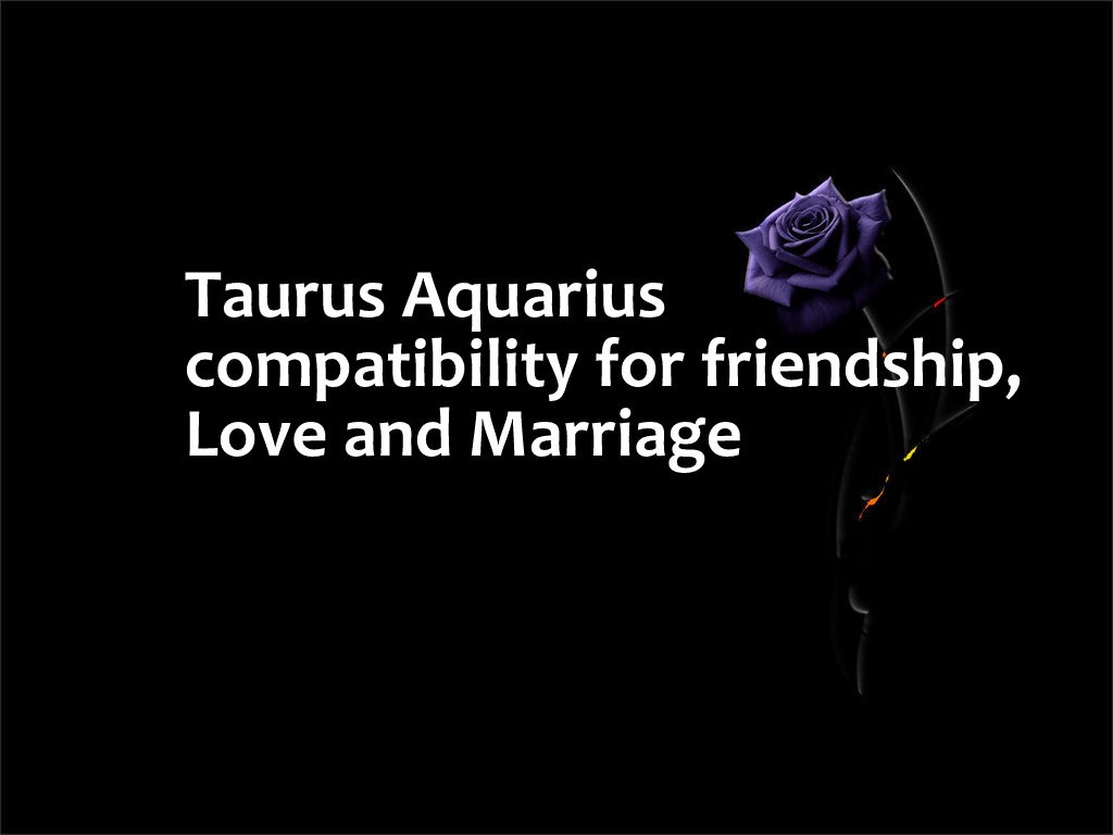 Aquarius man Taurus woman compatibility in love online